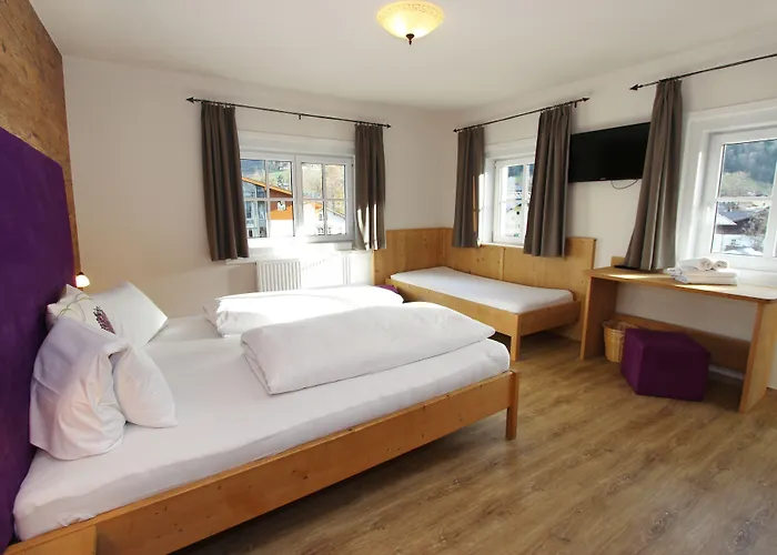 Apartment Margarethenstein Including Zell Am See Kaprun Summercard Kaprun