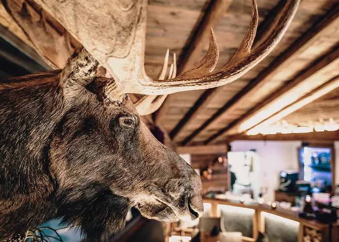 Apartment Margarethenstein Including Zell Am See Kaprun Summercard